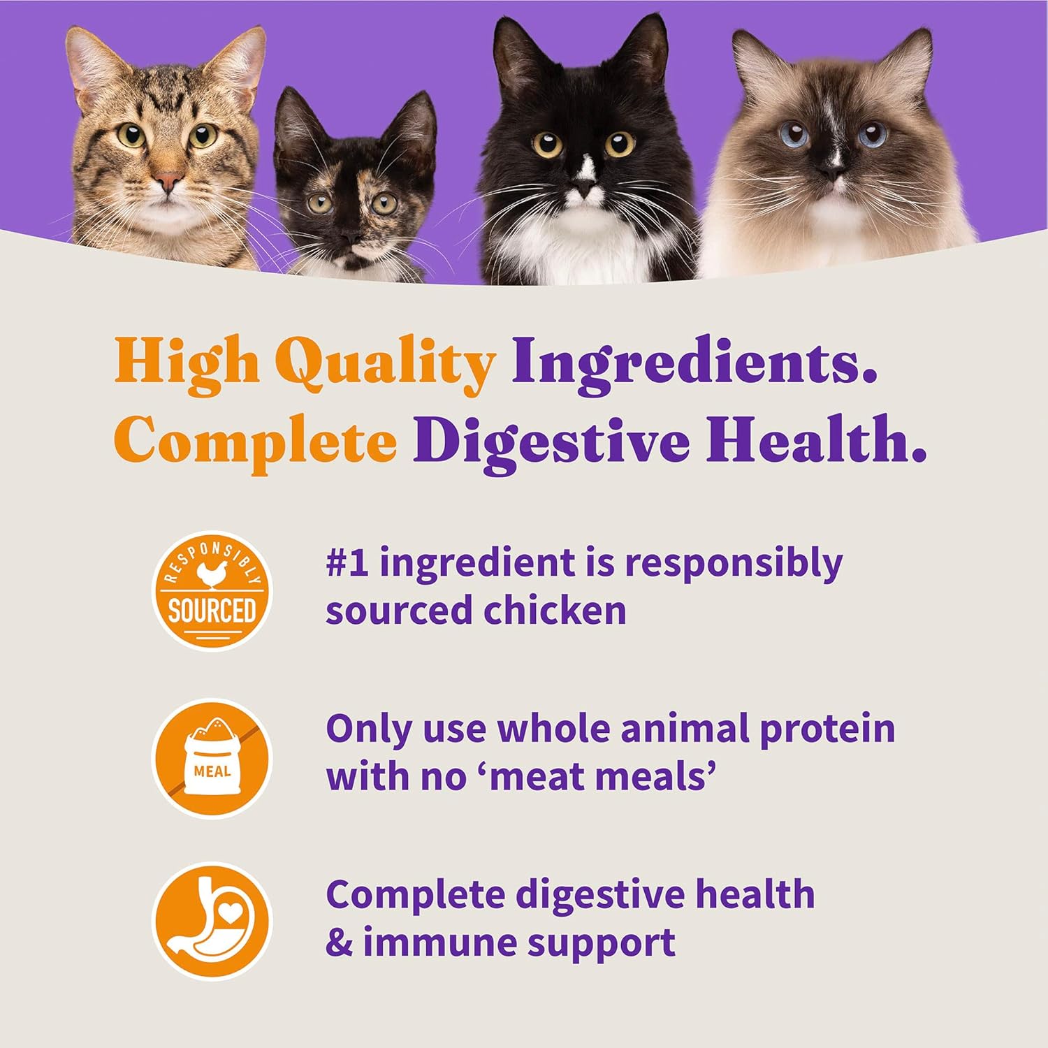 Halo Holistic Kitten Food Dry, Grain Free Cage-free Chicken Recipe, Complete Digestive Health, Dry Cat Food Bag, Kitten Formula, 10-lb Bag : Pet Supplies