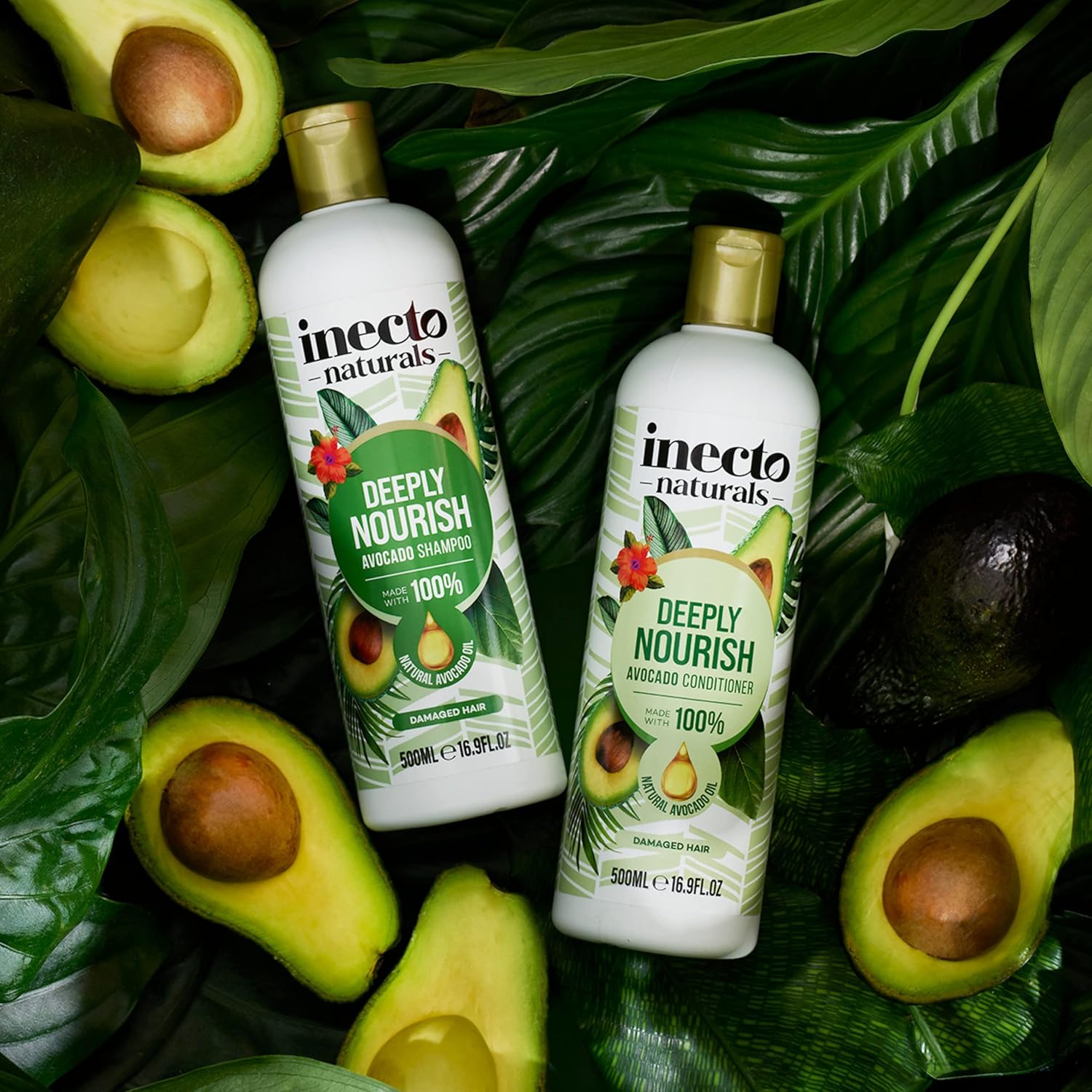 INECTO Natural Avocado Nourishing Shampoo 500ml, Organic Avocado Oil, for Softer, Smoother & Nourished Hair : Amazon.co.uk: Beauty