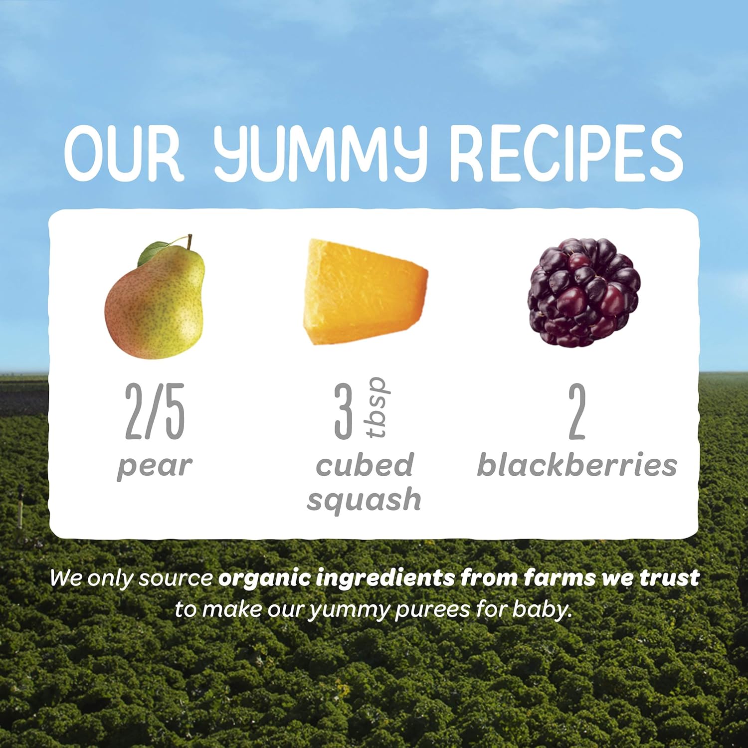 Happy Baby Organics Baby Food Pear Squash & Blackberries, 4 Oz Pouch (Pack Of 5)