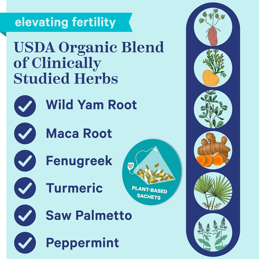 Blue Stork Men's Fertility Tea: Organic Fertility Supplements for Men, Green Tea, Maca Root, and Ginkgo Biloba for Male Reproductive Health, Mint, 30 Cups