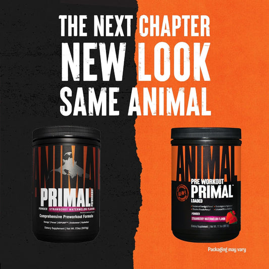 Animal Primal Muscle Hydration + Preworkout Powder – Contains Beta Alanine, 3Dpump, Caffeine & Electrolytes – Improves Energy, Focus, Endurance & Absorption – Strawberry Watermelon Flavor, 17.9 Oz