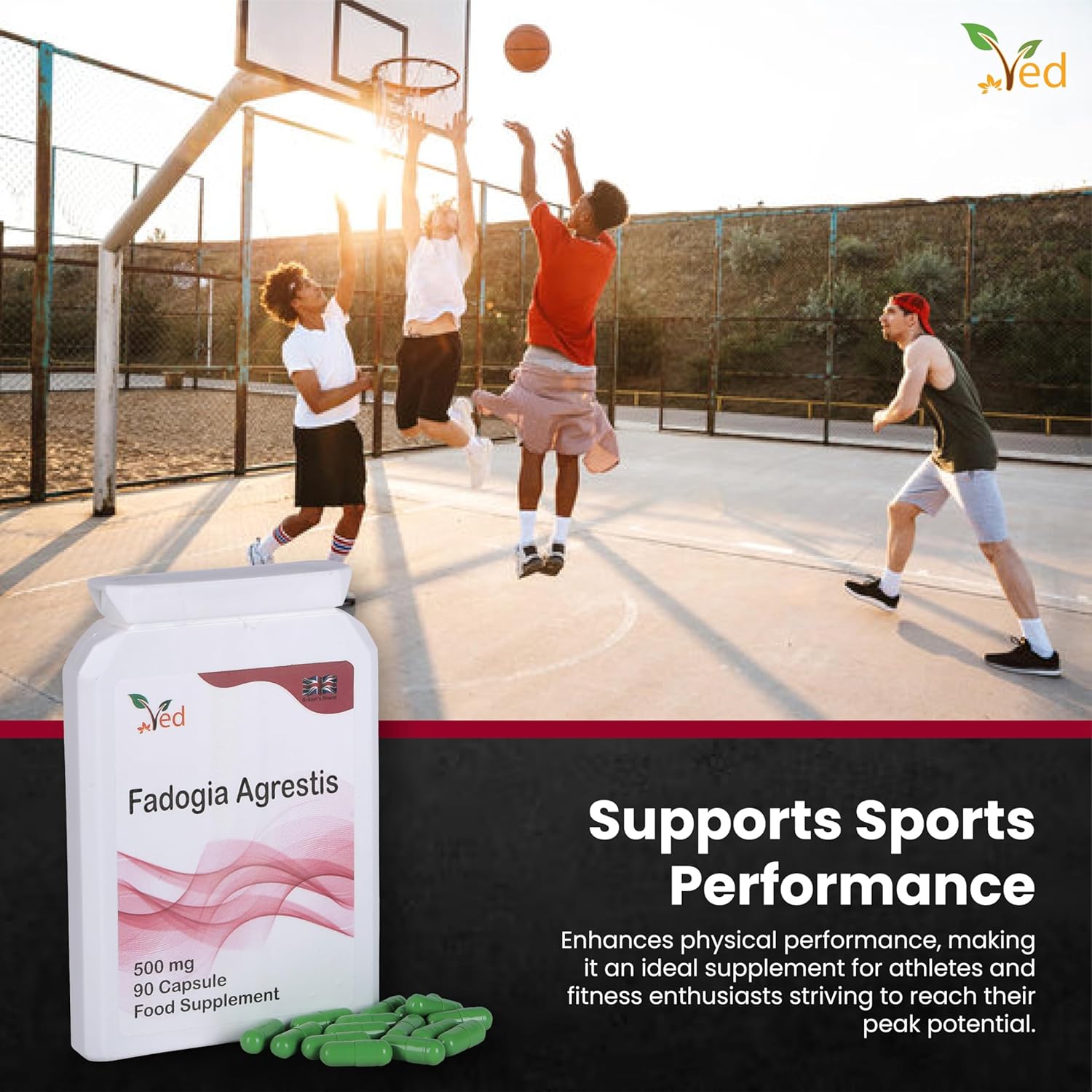 Ved Fadogia Agrestis, 20:1 stem Extract, Muscle Growth - Muscle Recovery - Athletic Performance 90 Vegan Capsules (3 Months Supply) : Amazon.co.uk: Health & Personal Care
