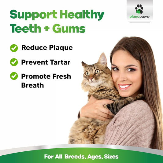 Cat Dental Care Powder - Easier Than Cat Toothpaste - Cat Dental Treat Alternative To Get Plaque Off - Cat Teeth Cleaning Powder With Bactase Pet - Cat Breath Freshener For Cat Bad Breath - Oral Care