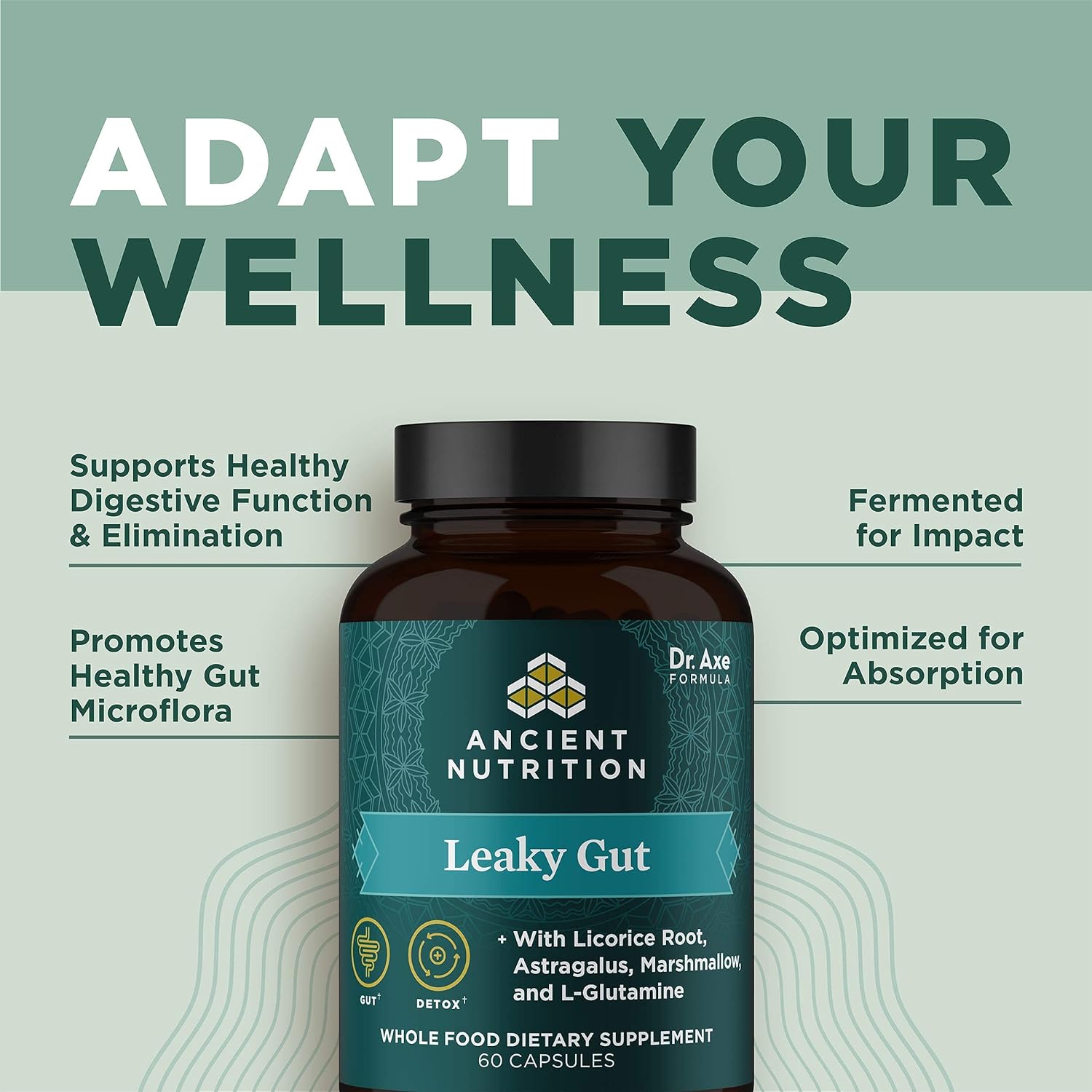 Gut Health Supplement by Ancient Nutrition Leaky Gut Capsules, 60ctFormulated with Licorice Root, Astragalus, Marshmallow, and L-Glutamine, Gluten Free, Paleo and Keto Friendly, 60 Ct : Health & Household