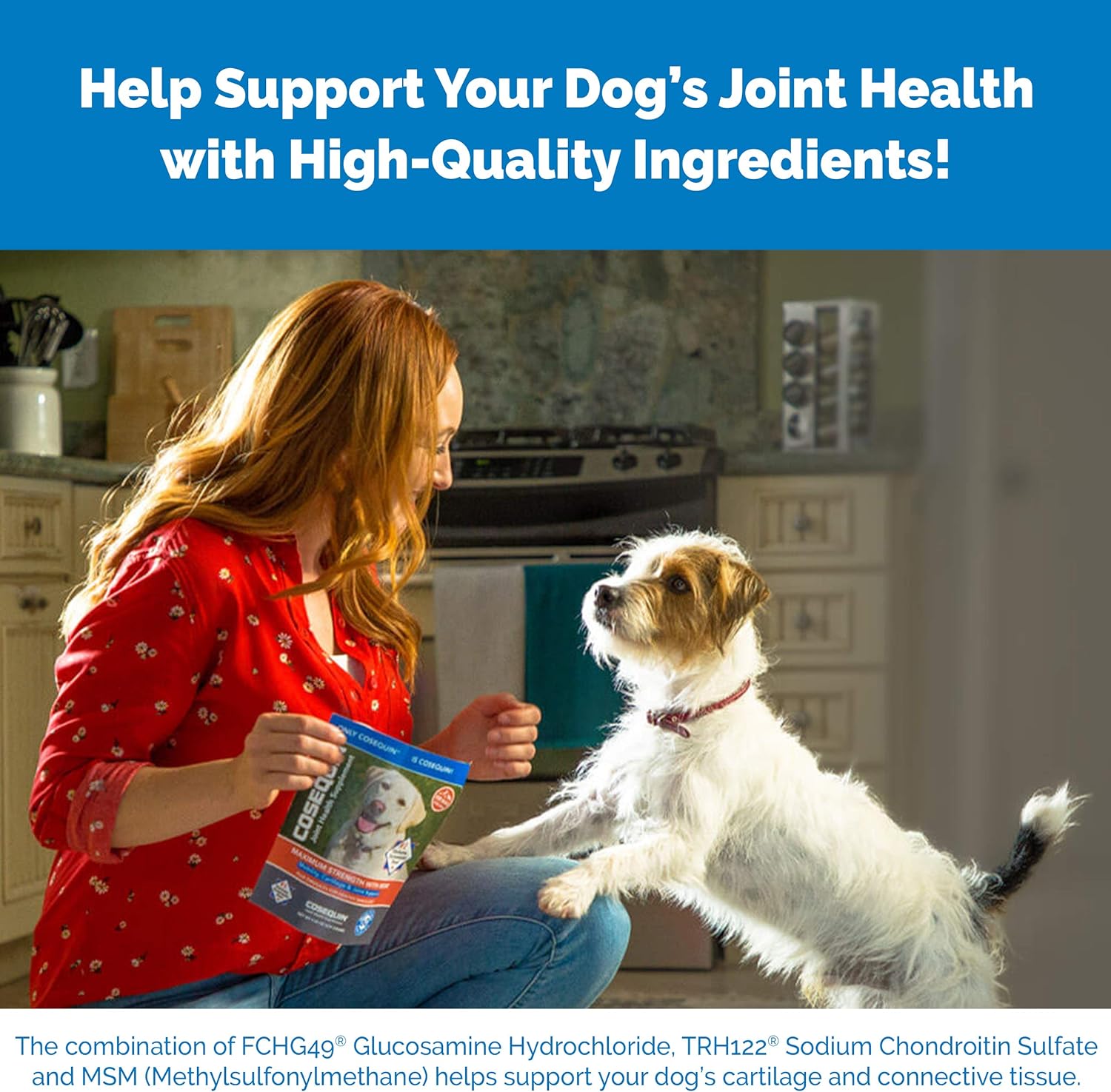 Cosequin Senior Joint Health Supplement for Senior Dogs - With Glucosamine, Chondroitin, Omega-3 for Skin and Coat Health and Beta Glucans for Immune Support, 60 Soft Chews : Pet Supplies