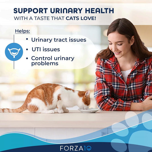 Forza10 Actiwet Urinary Cat Food, Canned Salmon Fish Flavor Urinary Tract Health Cat Food Wet, Vet Approved For Urinary Health, For Adult Cats, 3.5 Ounce, 32 Pack Case