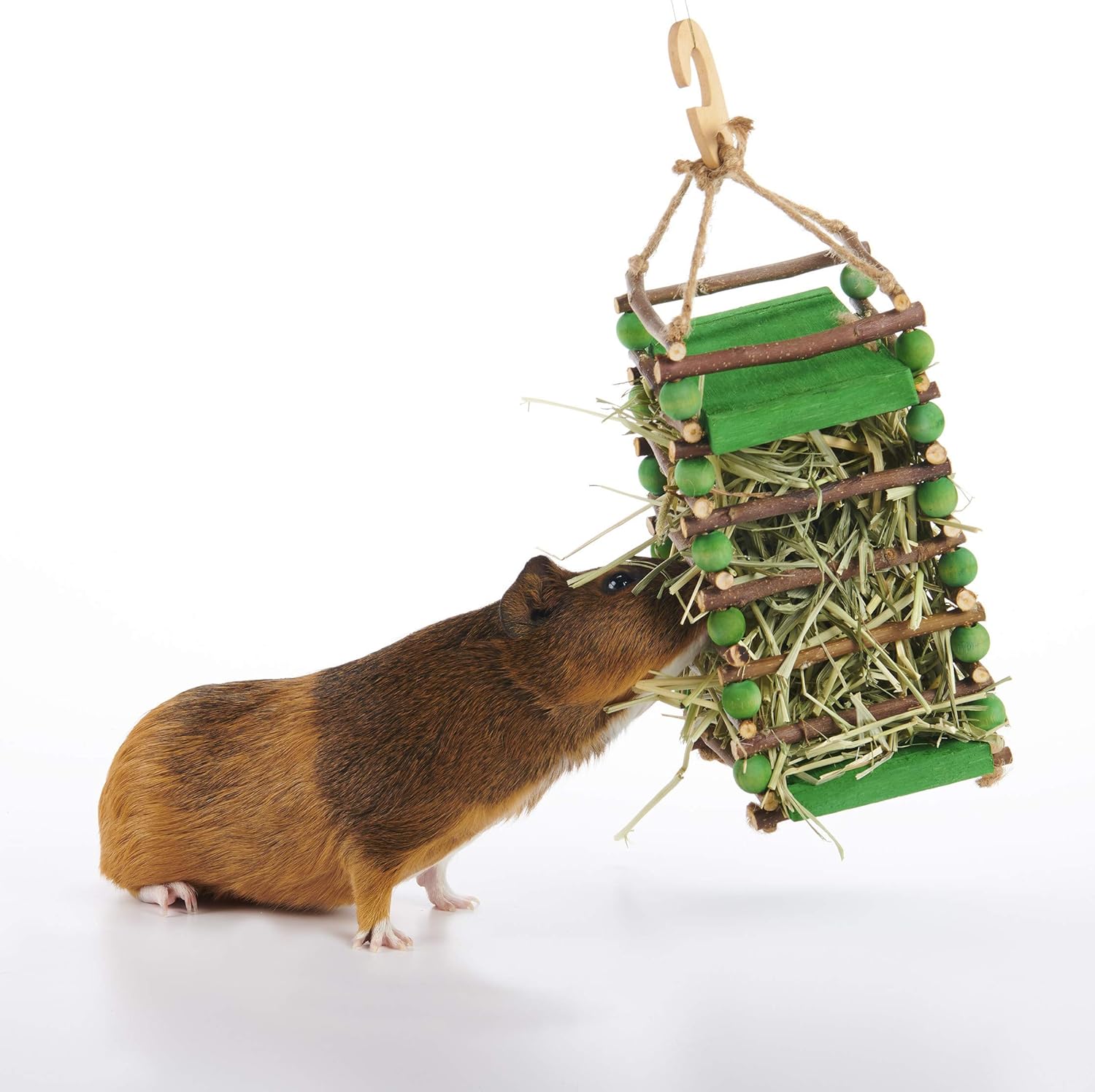 Oxbow Enriched Life Apple Stick Hay Feeder : Pet Supplies