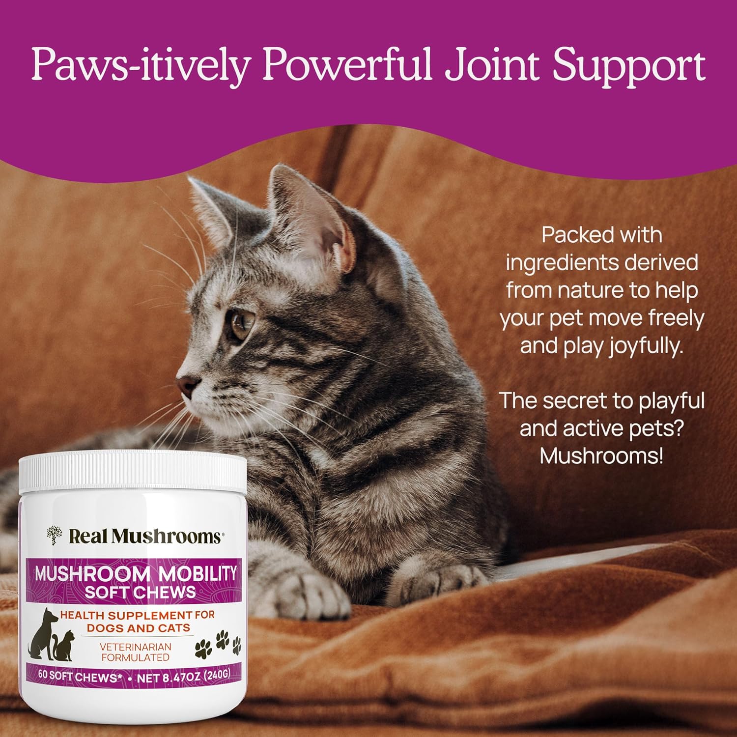 Hip And Joint Supplement For Dogs And Cats - Real Mushrooms Mobility Chews -Green Lipped Mussel Powder And Organic Ergo Gold Vitamins For Flexibility, Mobility, Hip And Joint Support (240 Ct)