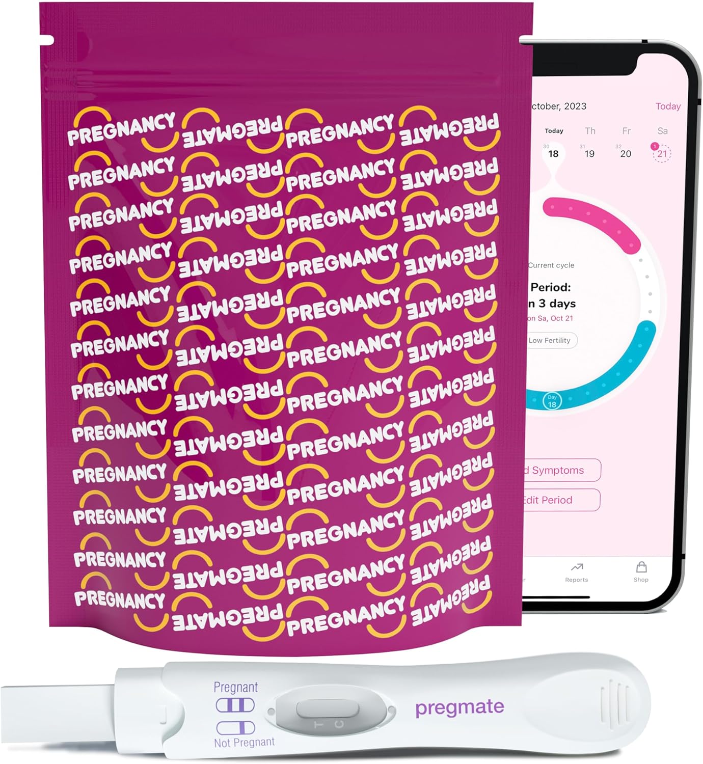 Pregmate Pregnancy Tests (10 Count) : Health & Household