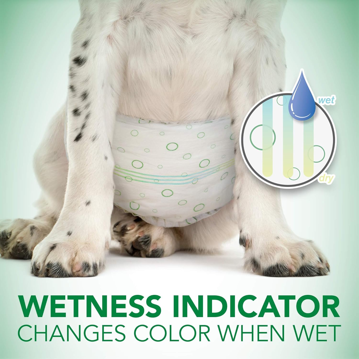 Vet's Best Comfort Fit Disposable Male Dog Diapers | Absorbent Male Wraps with Leak Proof Fit | Medium 12 Pack :Pet Supplies