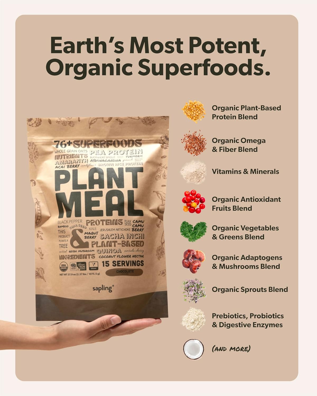 Plant Meal Replacement Shake - Vanilla - 25G Of Plant Based Vegan Protein Powder, 76+ Organic Superfoods, Vitamins & Minerals, Mushrooms, Super Greens, Digestive Enzymes & Probiotics - 1 Serving : Grocery & Gourmet Food