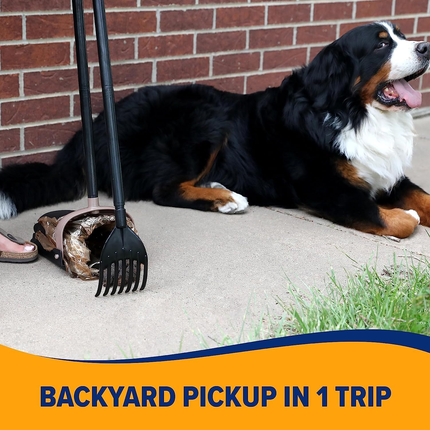 Arm & Hammer Petmate Swivel Bin & Rake Pooper Scooper Waste Management System (2 Bonus Heavy Duty Handle Tie Waste Bags Included For Premium Odor Control)