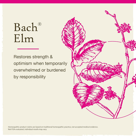 Bach Original Flower Remedies, Elm For Efficiency & Self-Assurance (Non-Alcohol Formula), Natural Homeopathic Flower Essence, Holistic Wellness And Stress Relief, Vegan, 10Ml Dropper