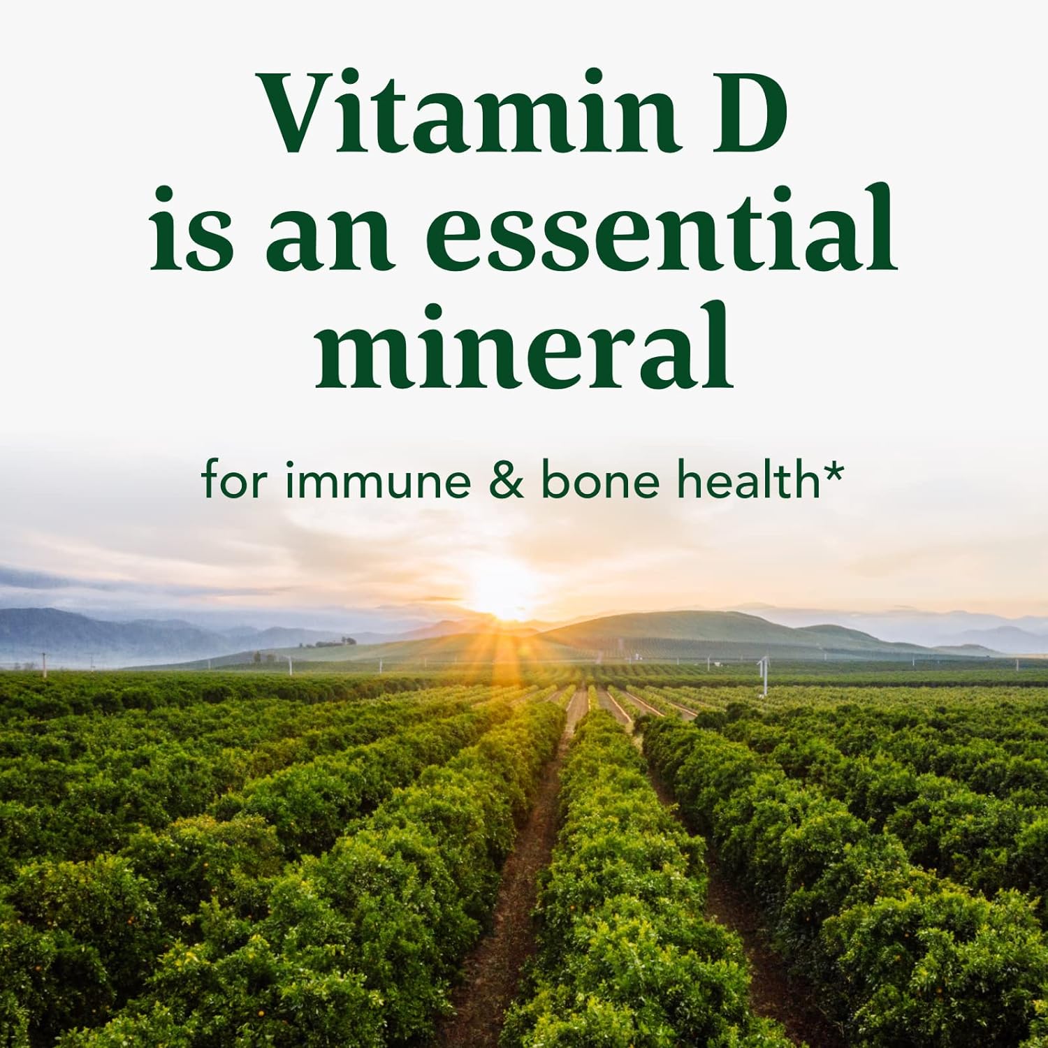 MegaFood Vitamin D3 5000 IU (125 mcg) - Vegetarian Vitamin D Supplements with Vitamin D3 K2, Supports Bones, Teeth, Muscles & Immune Health, Certified Non-GMO - 120 Mini Capsules, 120 Servings : Health & Household