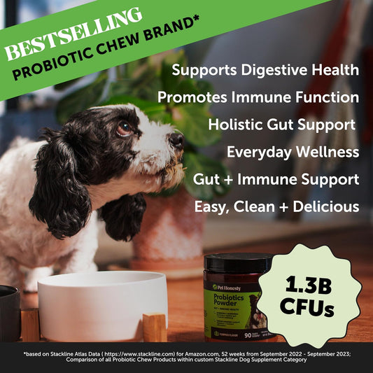 Pet Honesty All-Natural Probiotic & Pumpkin Powder Dog Supplement - Prebiotics, Probiotics, Enzymes & Antioxidants For Healthy Gut Flora, Anti Diarrhea, Digestion & Immunity (90 Scoops)