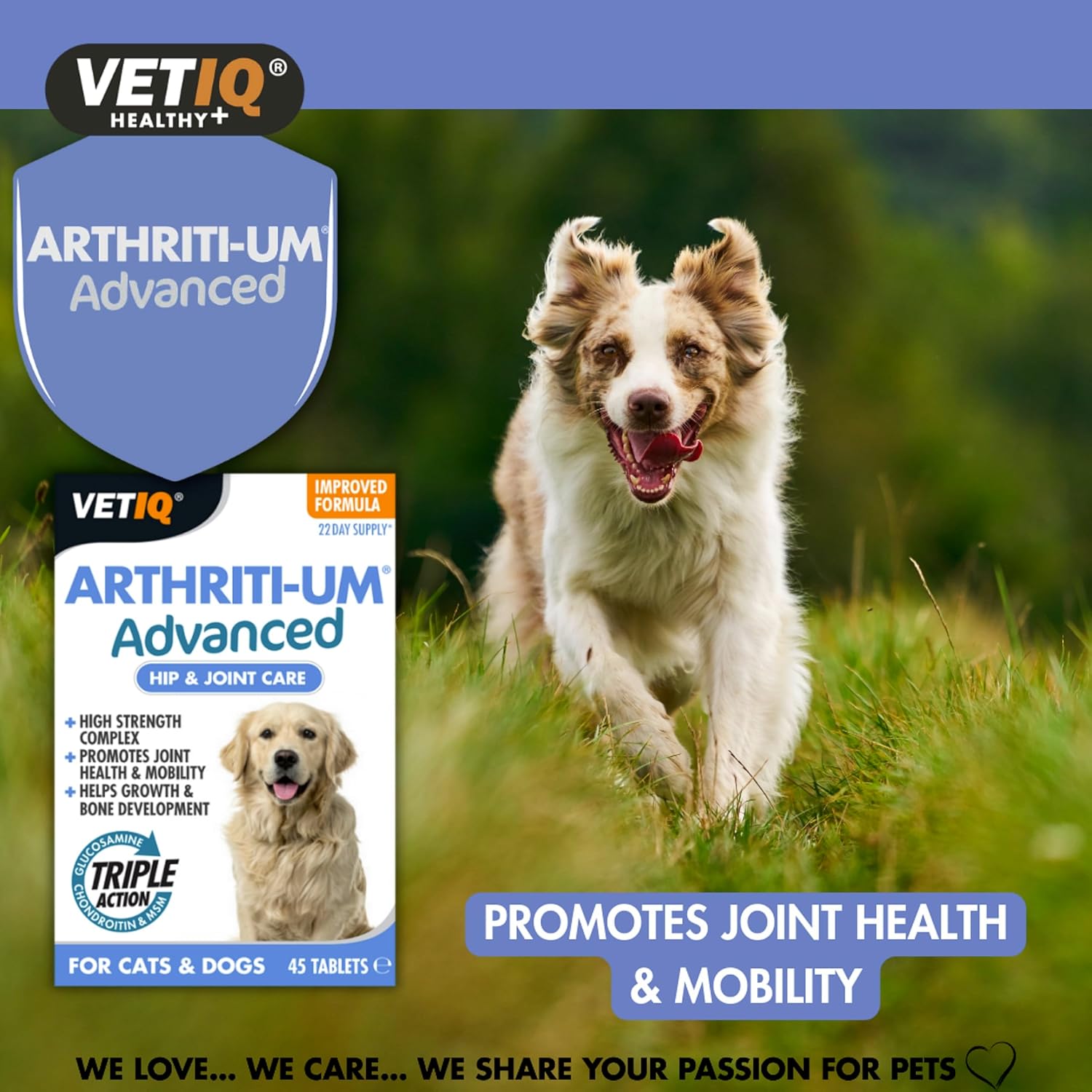 VetIQ Arthriti-Um Advanced Hip & Joint Care, 45 Tablets, Dog & Cat Supplements, Dog Vitamins Promote Joint Health & Mobility with Glucosamine and Chondroitin Helps Pain Relief For Dogs :Pet Supplies