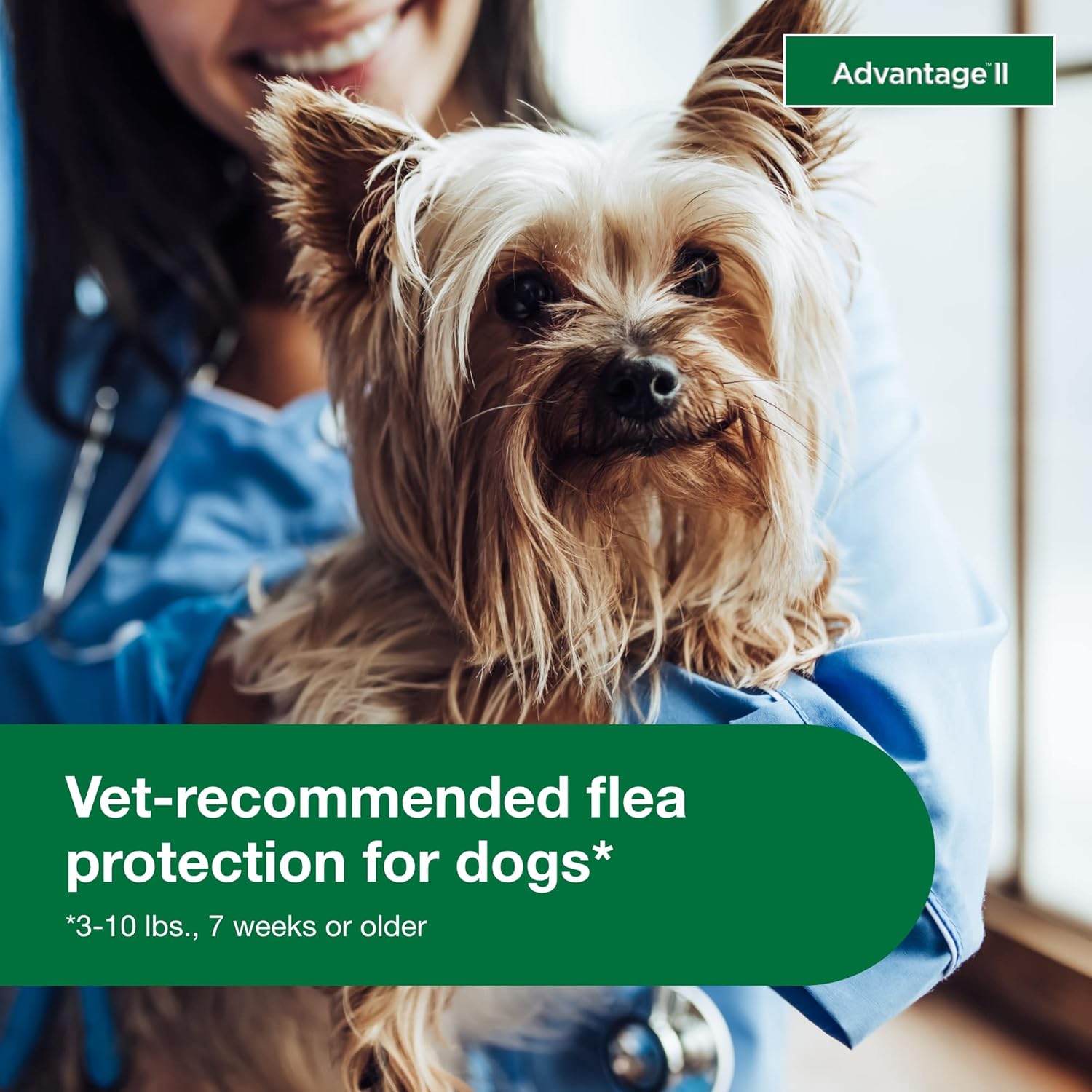 Advantage II Small Dog Vet-Recommended Flea Treatment & Prevention | Dogs 3-10 lbs. | 4-Month Supply : Pet Flea Drops : Pet Supplies