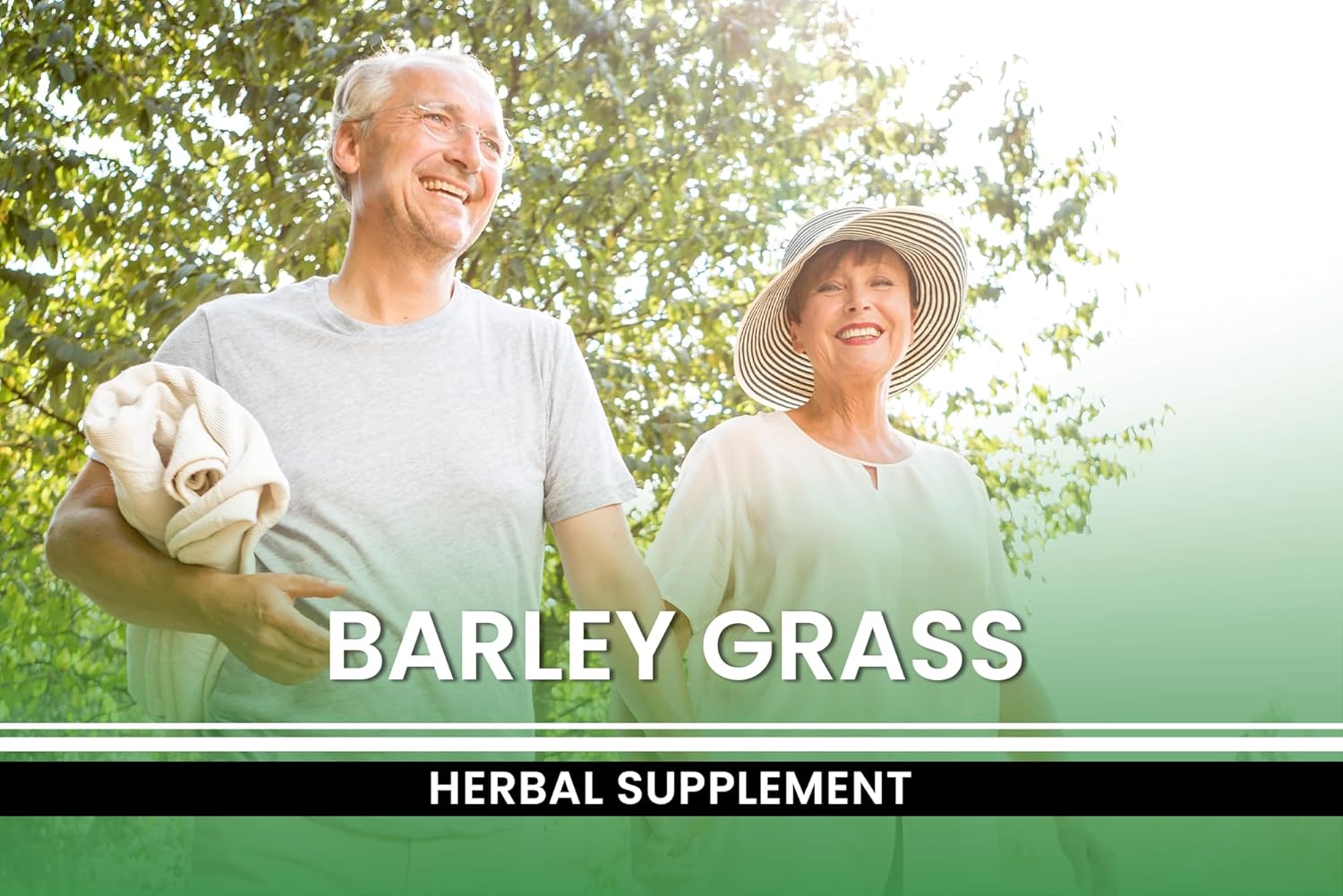 Pure Original Ingredients Barley Grass (365 Capsules) No Magnesium Or Rice Fillers, Always Pure, Lab Verified : Health & Household