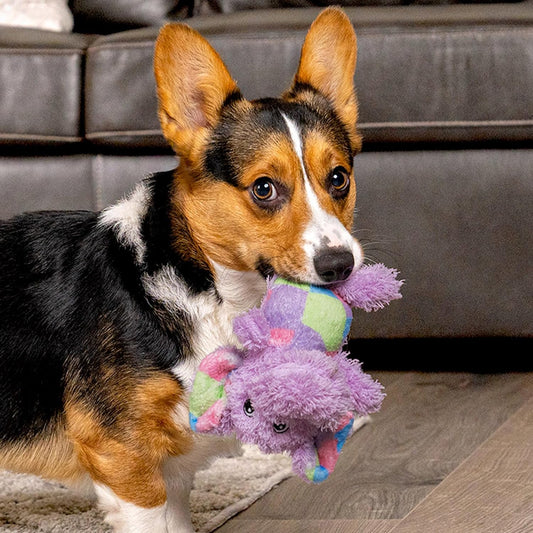 Pet Factory Logical Pet Patchwork Squeaky Plush Dog Toy, Randomly Selected - Bear Or Elephant, One Size