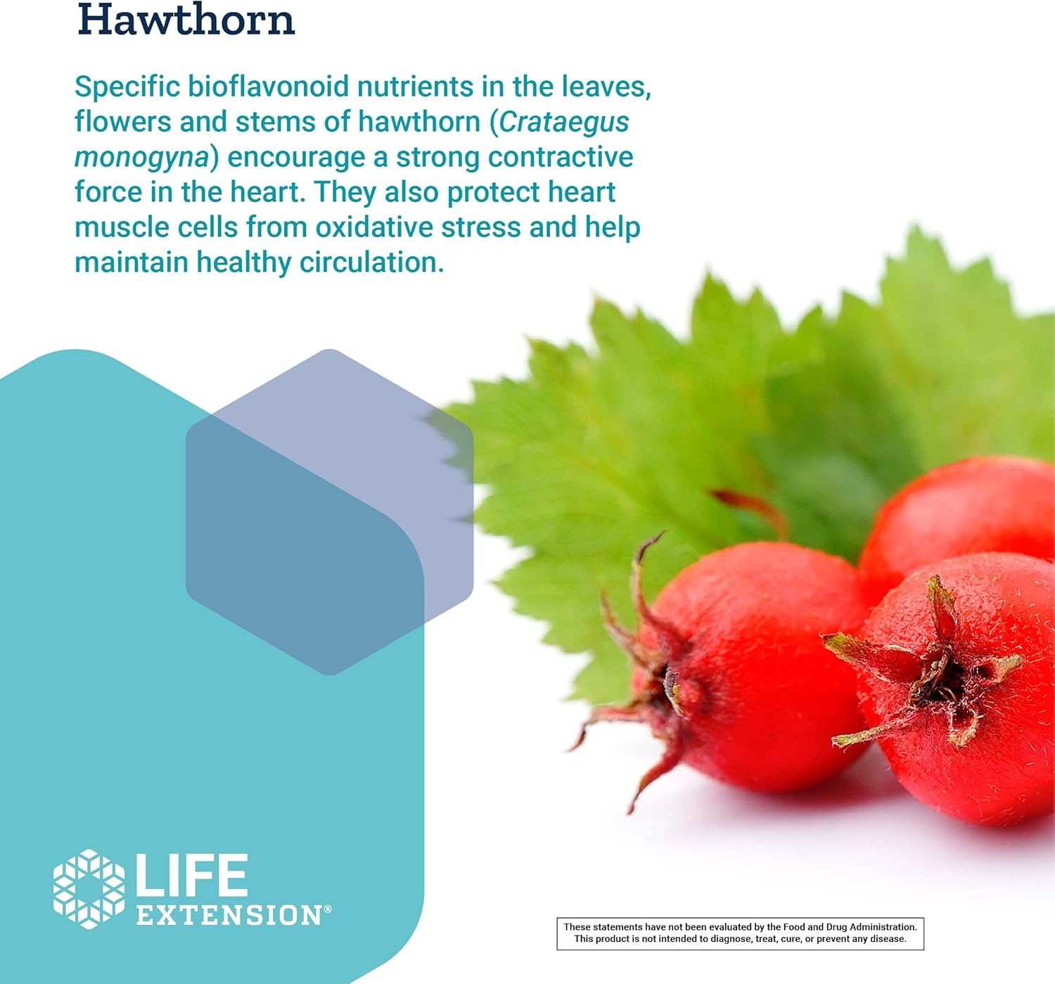 Life Extension Cardio Peak - Hawthorn Extract (Leaf, Flower, Stem) Supplement with Arjuna Extract for Heart Health Support - Twice Daily - Gluten Free, Non-GMO, Vegetarian - 120 Capsules : Health & Household