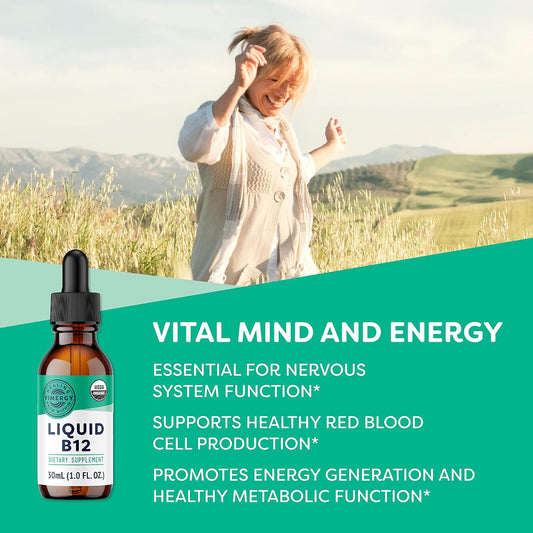 Vimergy USDA Organic B12, 30 Servings ? Alcohol Free B-12 Liquid Vitamin - Supports Brain Energy, Nervous System, Cognition, Memory - No Gluten, Non-GMO, Vegan & Paleo - Naturally Sweet Flavor (30 ml)