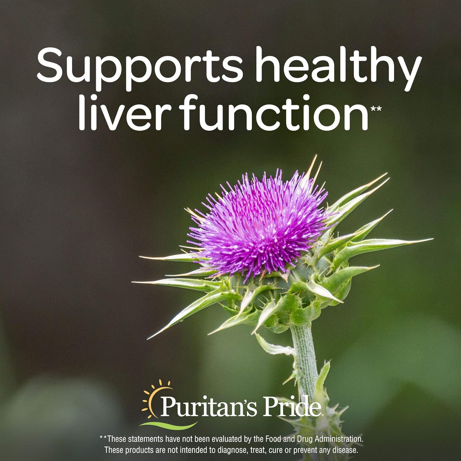 Puritan's Pride Milk Thistle & Dandelion Extract 60 Count : Health & Household
