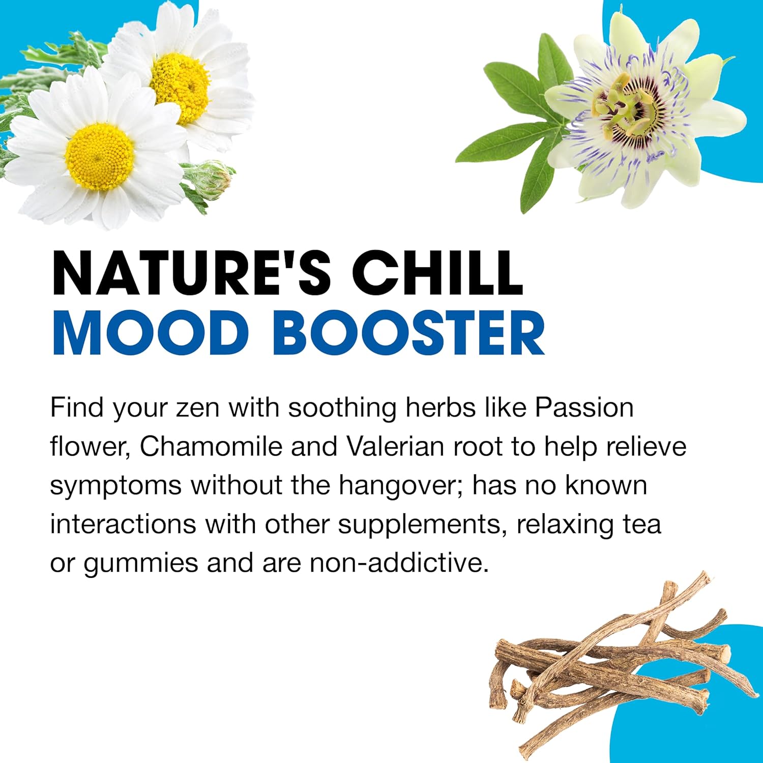 Medinatura Wellmind Natural Calming Remedy Helps Ease Stress, Tension & Nervousness - 10 Homeopathic Soothing Botanicals Help Calm & Balance Anxious Feelings For Women & Men - 100 Tablets : Health & Household