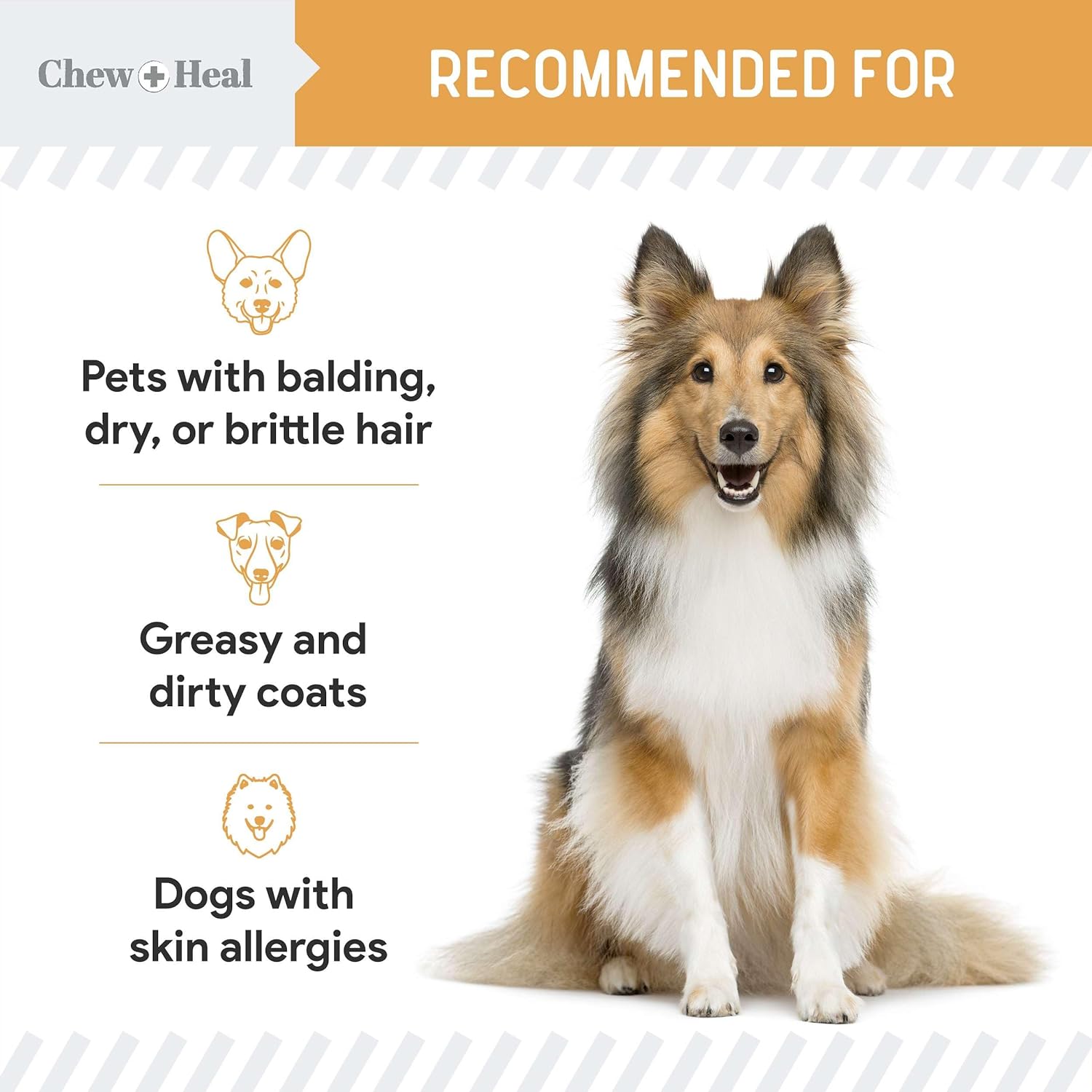 Salmon Oil for Dogs - 180 Soft Chew Omega Treats for Skin and Coat - Fish Oil Blend of Essential Fatty Acids, Omega 3 and 6, Vitamins, Antioxidants and Minerals - Made in USA : Pet Supplies