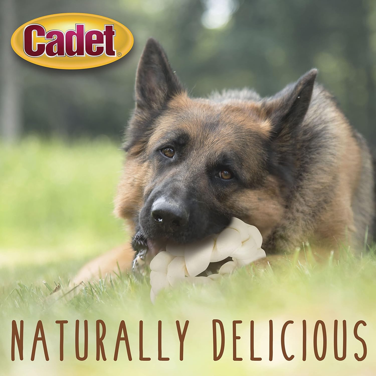 Cadet Premium Grade Beef Hide for Dogs, Long Lasting Rawhide Donut Bone, Single Ingredient Dog Chews, 8 Inch (1 Count) : Pet Supplies