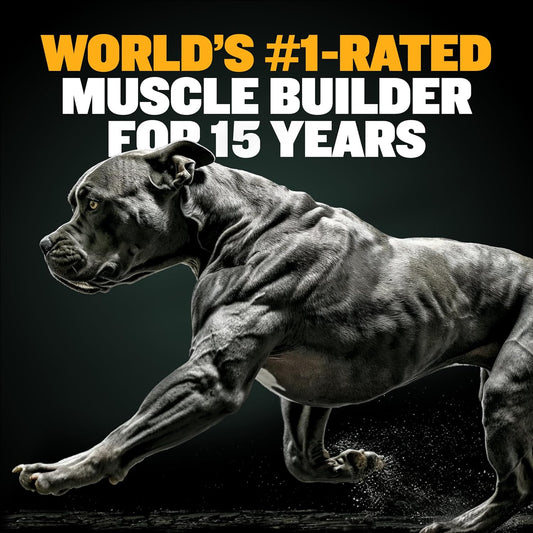 Bully Max Muscle Builder Soft Chews For Dogs And Puppies - Training Supplements Chews For Puppy And Adult Dog - Dog Food Treats For Muscle Gain - All Dog Breeds & Ages, 75 Delicious Soft Chews