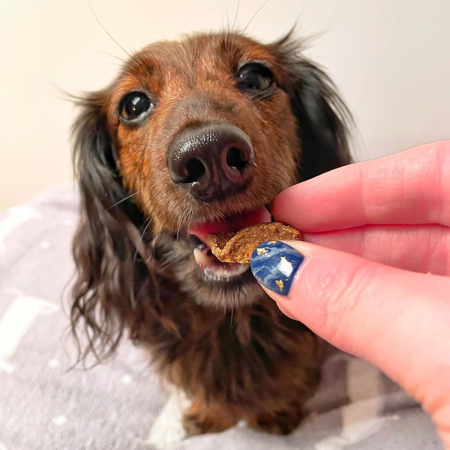 Scrumbles Meaty Treats for Dogs Salmon Chonks :Pet Supplies
