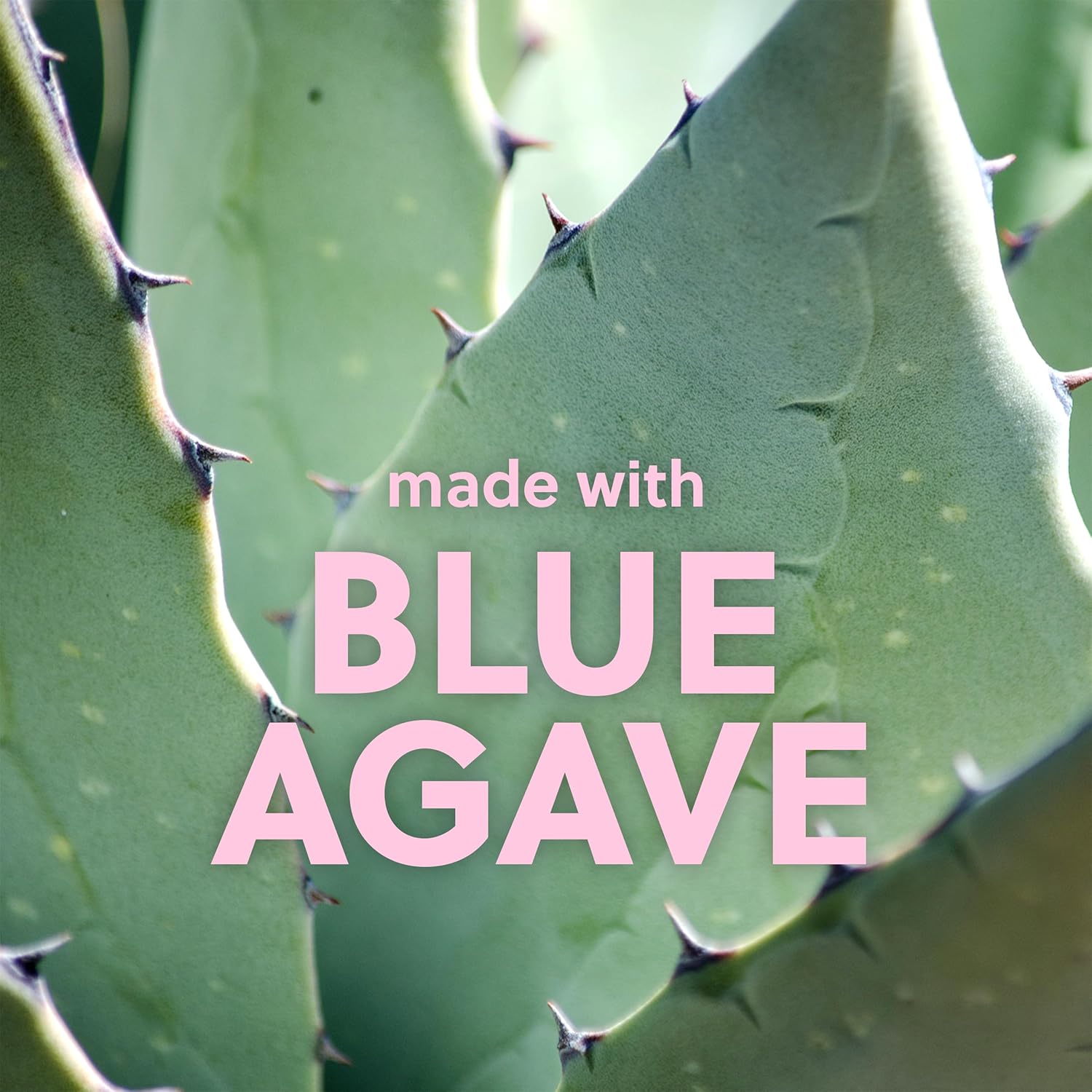 Tree Hut Lotus Water Whipped Shea Body Butter | Long-Lasting Hydration Leaves Skin Feeling Soft & Moisturized | Lightweight | Nourishing Essential Body Care | 8.4 Fl Oz. : Beauty & Personal Care