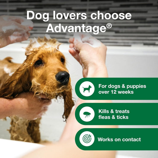 Advantage Dog Flea & Tick Shampoo For Puppies & Adult Dogs | Kills Fleas & Ticks | 8 Oz