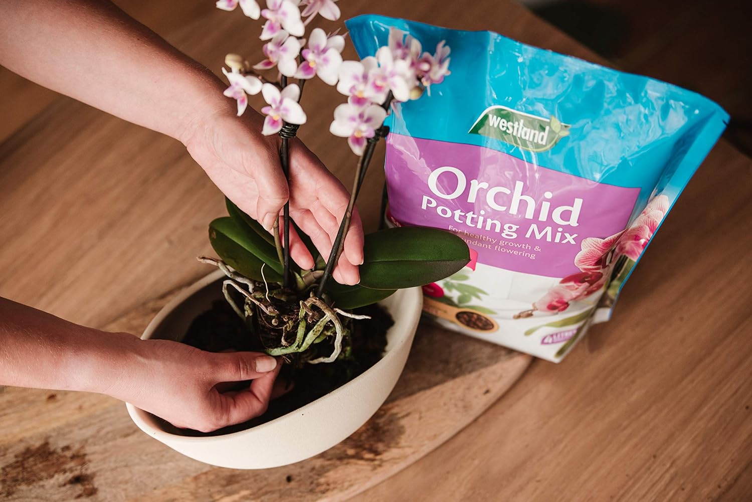 Westland Orchid Potting Compost Mix and Enriched with Seramis, 4 L :Garden