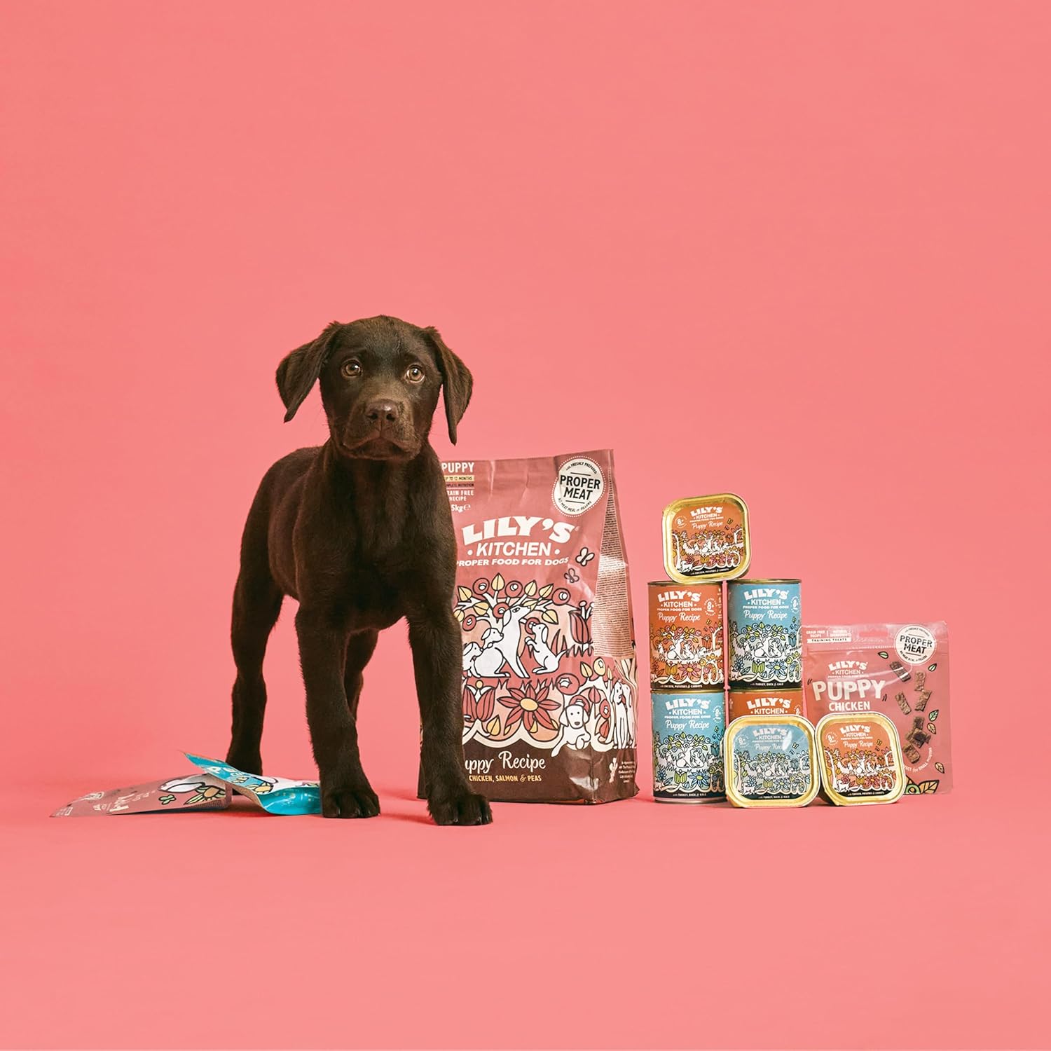 Lily’s Kitchen Made with Natural Ingredients Puppy Dog Treats Packet Chicken Nibbles with Salmon Grain-Free Recipes (8 Packs x 70g) :Pet Supplies