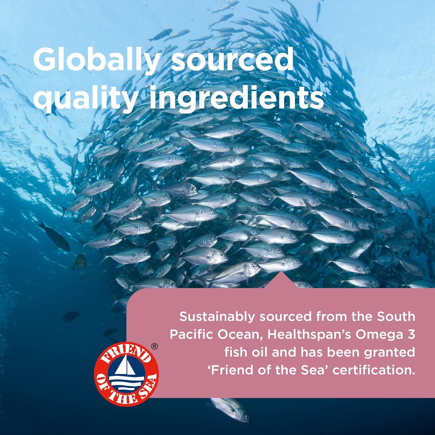 Healthspan Super Strength Omega 3 1,200mg | Brain, Heart & Eye Health | 240mg DHA & 360mg EPA per Capsule| Highly Purified to Remove Toxins | Sustainably Sourced Fish Oil (60 Capsules) : Amazon.co.uk: Health & Personal Care
