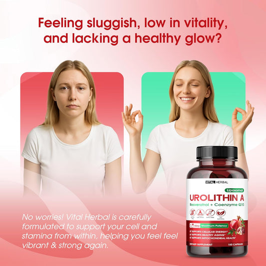 Urolithin A Supplement With Resveratrol Coenzyme Q10– 150 Capsules – Supports Mitochondrial Health, Cellular Energy & Healthy Aging – Made In The Usa