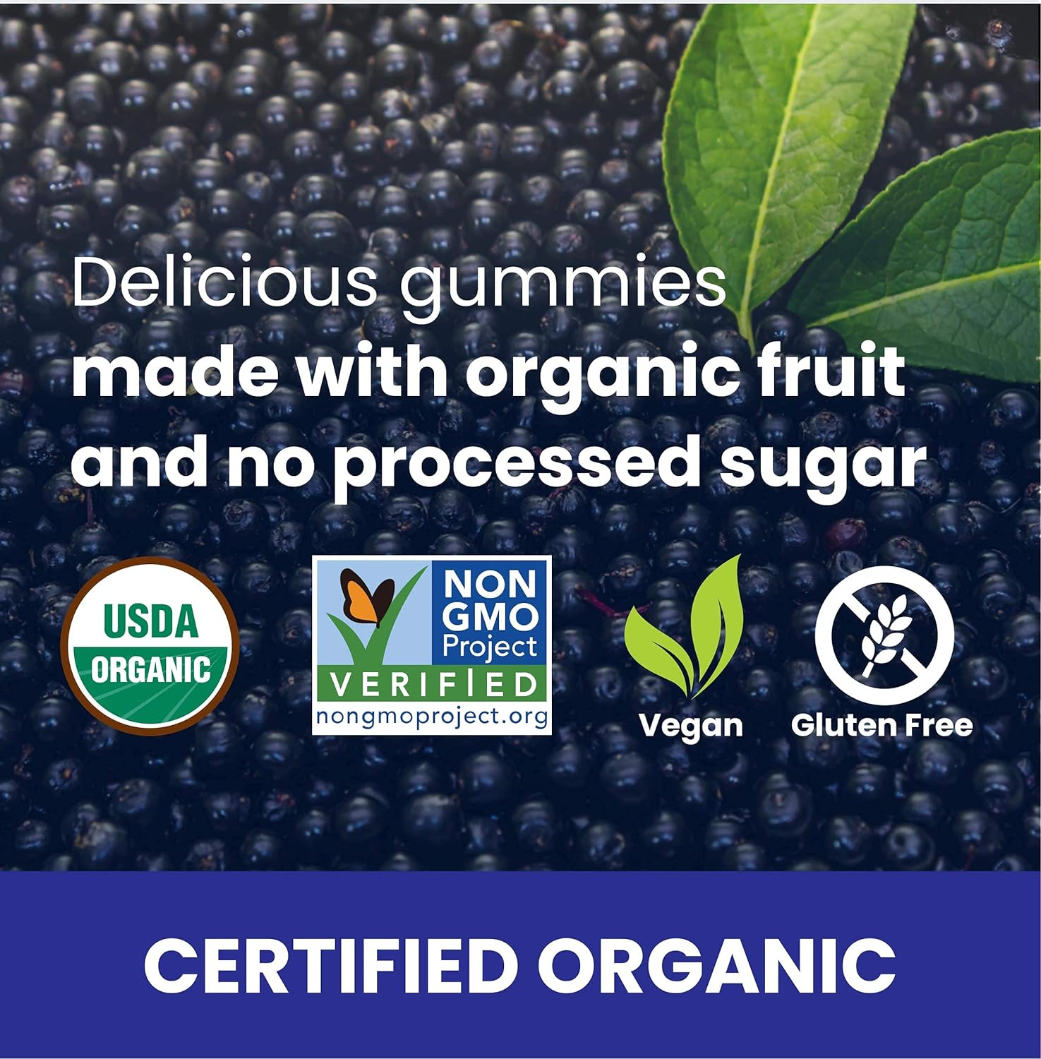 Fruily Organic Elderberry Gummies with Zinc and Vitamin C - Immune Support Supplement Certified USDA Organic Chewable Sambucus Elderberry Gummies, All Natural, Non-GMO, Gluten-Free, Kosher, Vegan : Health & Household