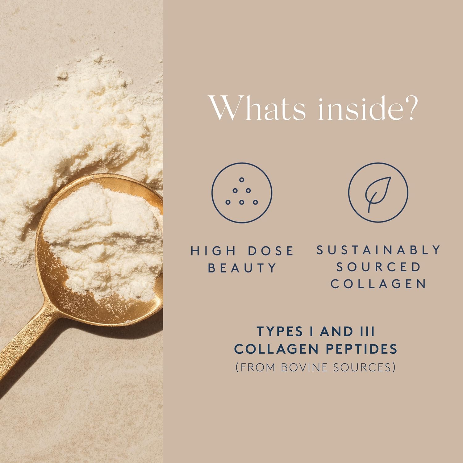 Dose & Co Collagen Creamer in Vanilla Flavour - 340g Powder Supplement : Amazon.co.uk: Health & Personal Care