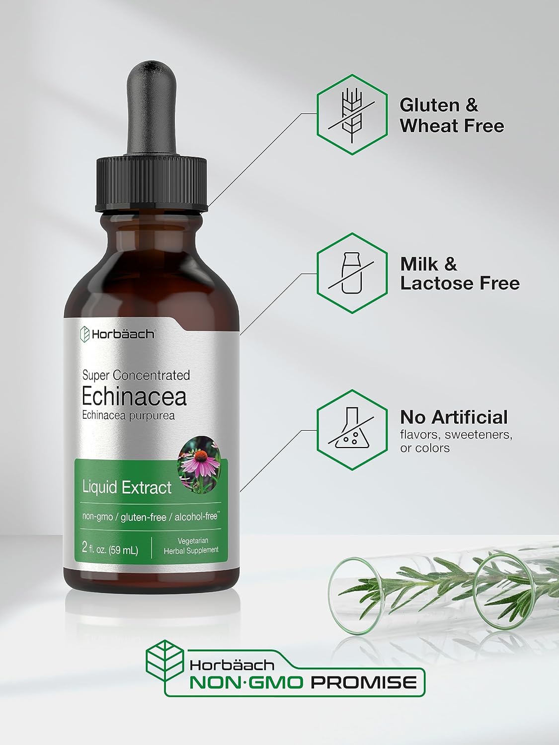 Horbäach Echinacea Drops Liquid Extract | 2 fl oz | Super Concentrated Tincture | Alcohol Free, Vegetarian, Non-GMO, and Gluten Free : Health & Household