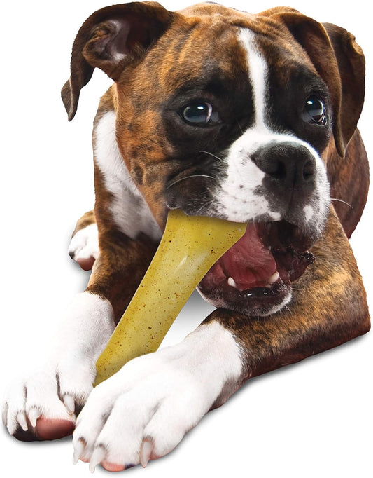 Nylabone Flex Moderate Chew Dog Toy Chicken X-Large/Souper (1 Count)