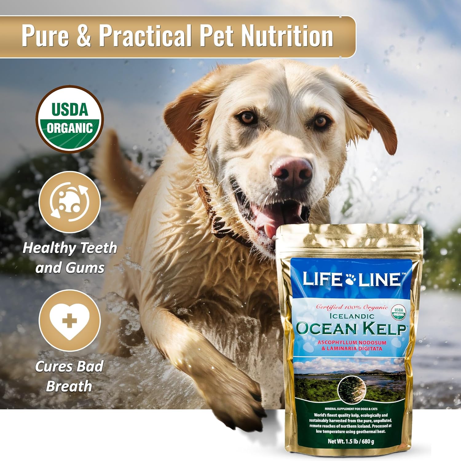 Life Line Pet Nutrition Organic Ocean Kelp Supplement for Skin & Coat, Digestion in Dogs & Cats,1.5lb, Model:20201 : Horse Nutritional Supplements And Remedies : Pet Supplies