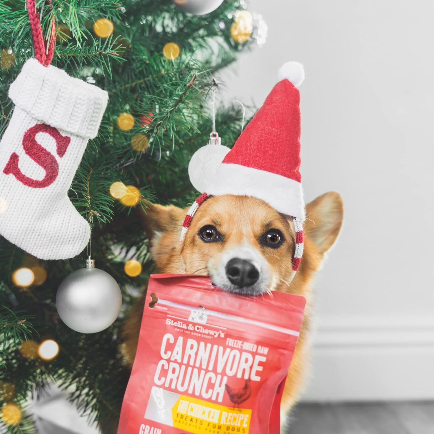 Stella & Chewy's Mixed Protein Treats, 5 Item BIG Bundle : Pet Supplies