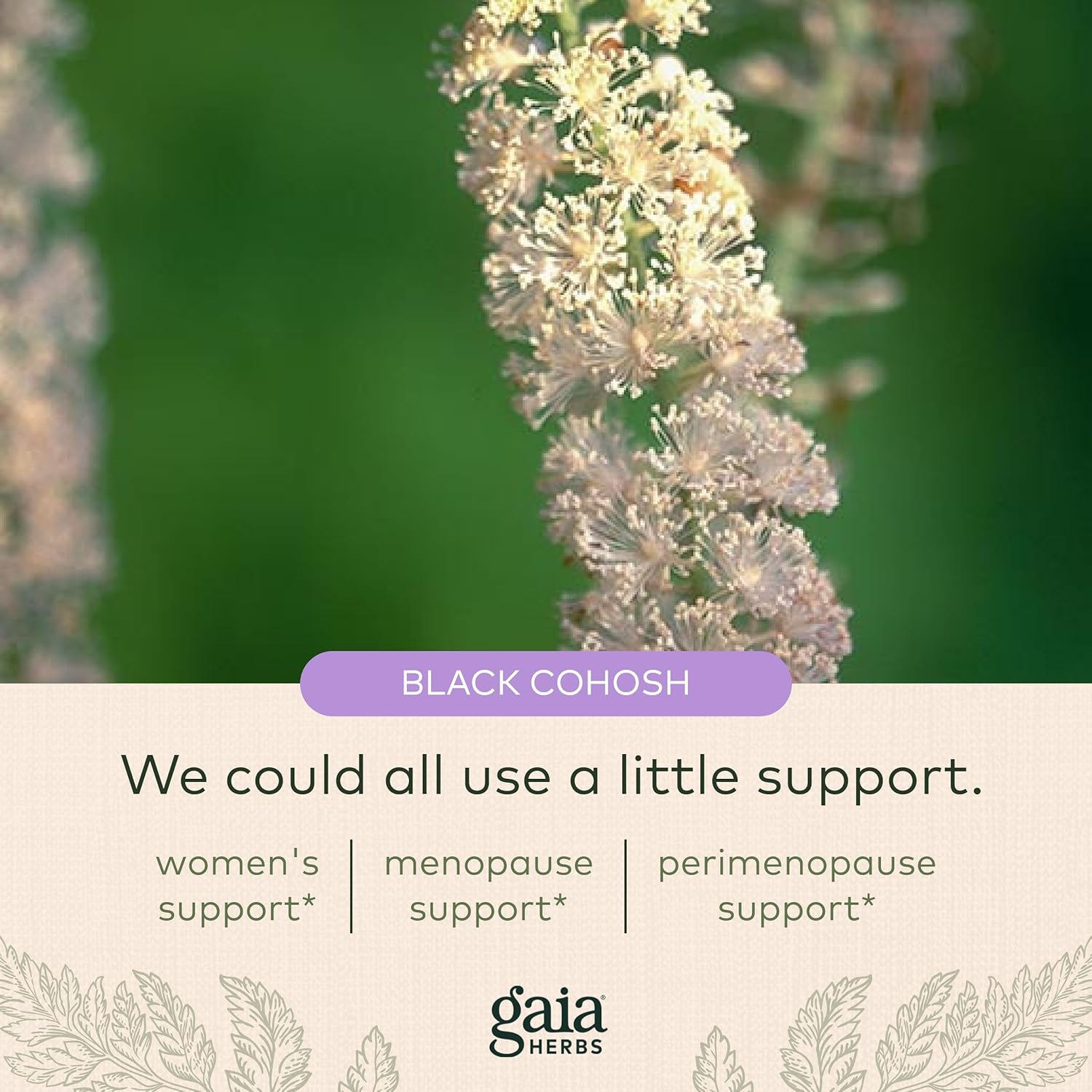 Gaia Herbs Menopause Support Daytime - Helps Maintain Hormone Balance and Well-Being for Women - with Vitex, Black Cohosh, St. John’s Wort, and Oats - 60 Vegan Liquid Phyto-Capsules (20-Day Supply) : Health & Household