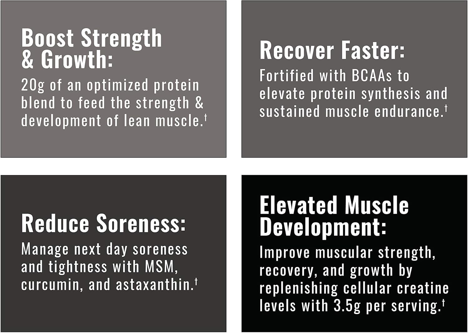Buy Wilderness Athlete - Brute Strength Bcaa Post Workout | Bcaa Creatine Workout Powder - Premium Post Workout Recovery Drink | 15 Serving Tub (Apple Pie) On  Free Shipping On Qualified Orders
