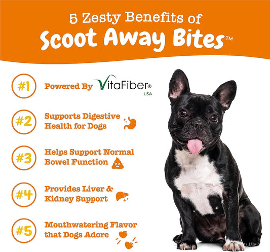 Zesty Paws Scoot Away Soft Chews - Healthy Bowel Function With Bromelain, Vita Fiber For Dogs, & Dandelion Root For Dog Digestive Support And Gut Health - 90 Soft Chews