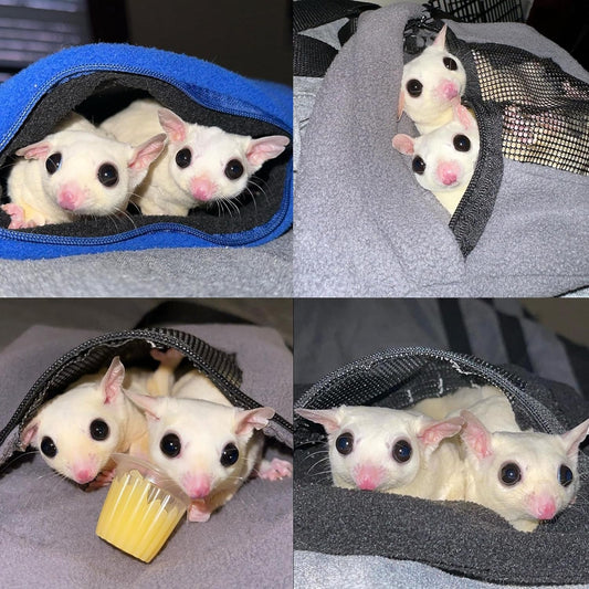 2 Pack Carry Pouch For Small Animals - Breathable Window, Strong Zipper, Adjustable Strap - Sugar Gliders Hamster Gerbils