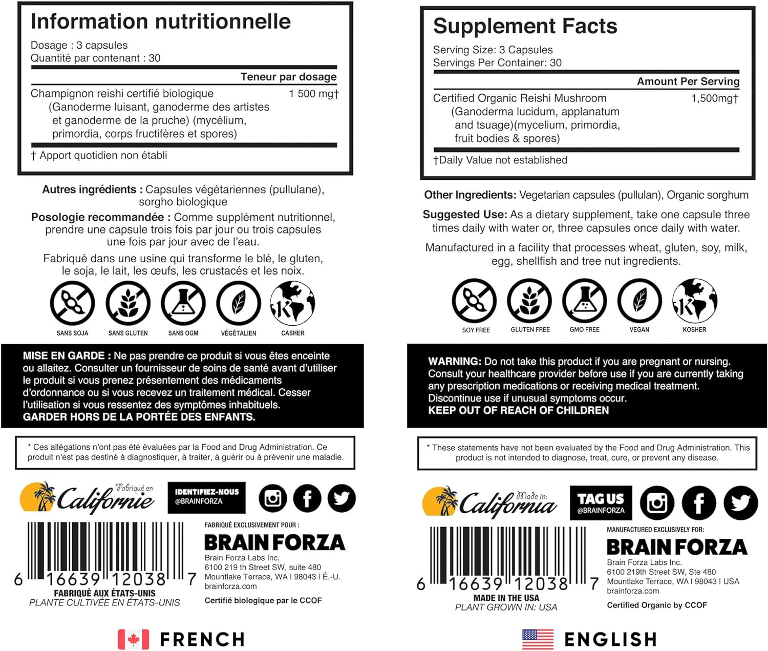 Brain Forza Organic Red Reishi Mushroom Capsules, Adaptogenic Mushroom Powered Immune Support, Heart and Cardiovascular Health, General Wellness and Vitality, Non-GMO, Vegan, Organic, 90 Capsules : Health & Household