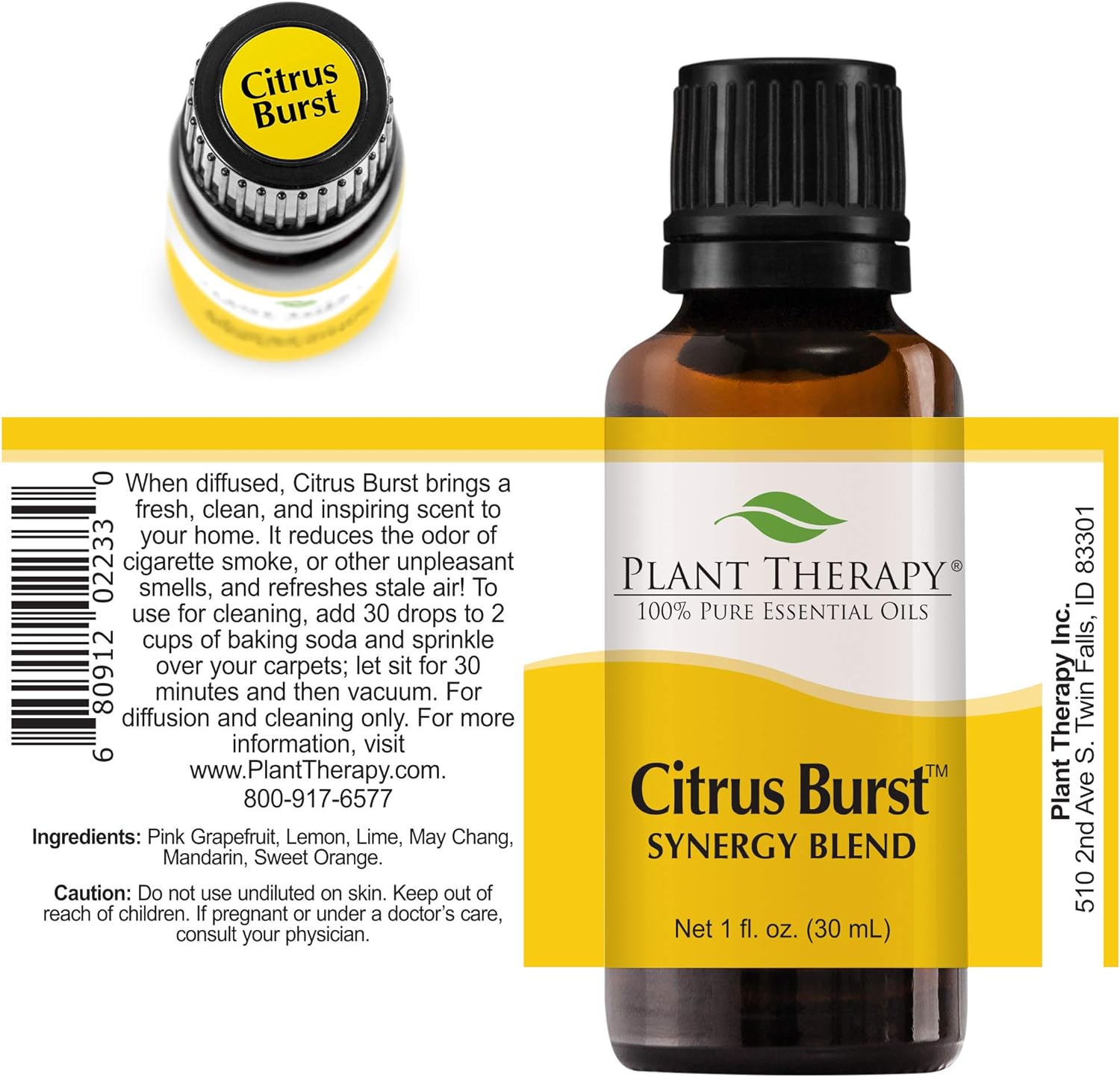 Plant Therapy Citrus Burst Essential Oil Blend 30 mL (1 oz) 100% Pure, Undiluted, Therapeutic Grade : Health & Household