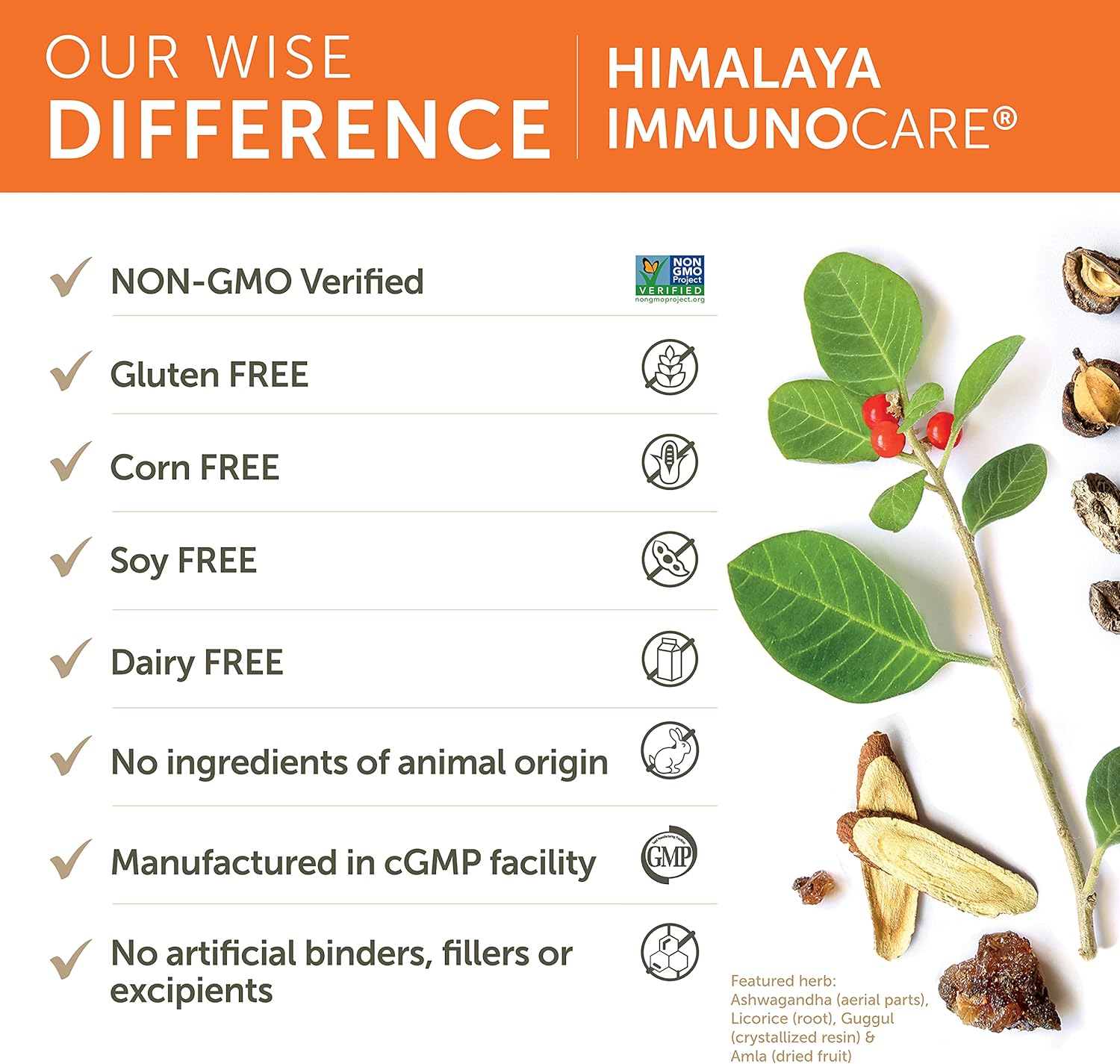 Himalaya ImmunoCare for Active Immune Support and Cellular Defense, 840 mg, 240 Capsules, 2 Month Supply : Health & Household